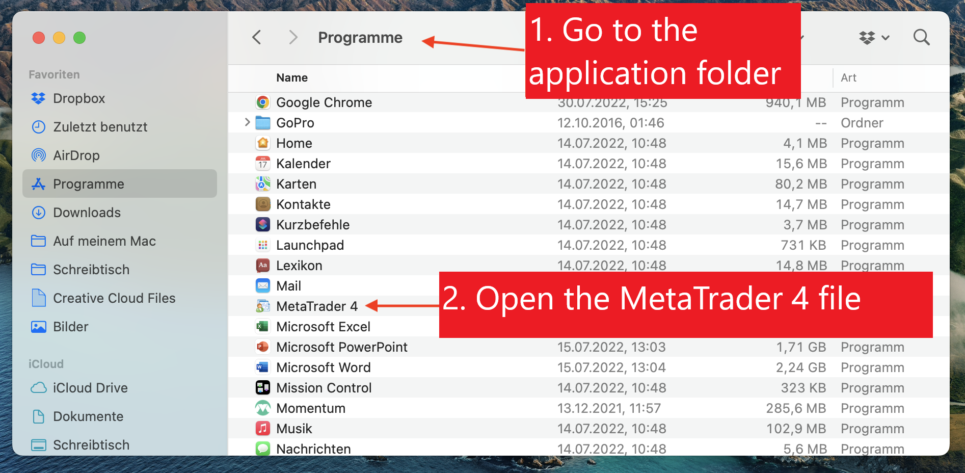 Open the MetaTrader 4 file in the application folder
